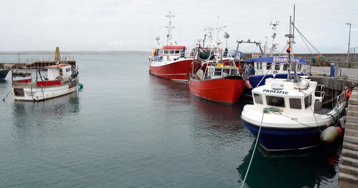 Fishing industry seeks Government help as soaring fuel costs threaten Irish fleet