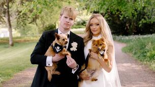 <p>Diana Bunici and Steve Garrigan with their dogs on their wedding day. Picture: Colin Ross</p>