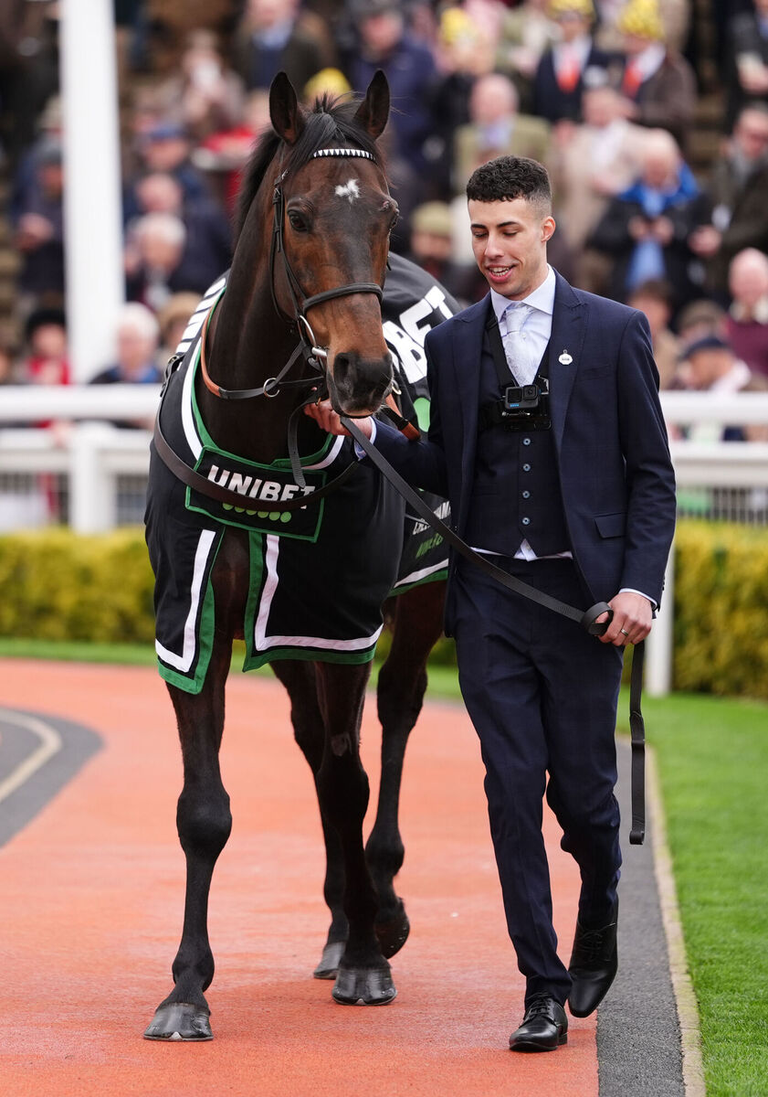 Constitution Hill in the parade ring on day one of the 2026 Cheltenham Festival at Cheltenham Racecourse. PIC: Adam Davy/PA Wire.