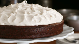 <p>You can also make cute cupcakes with this recipe</p> <p>You can also make cute cupcakes with this recipe</p>