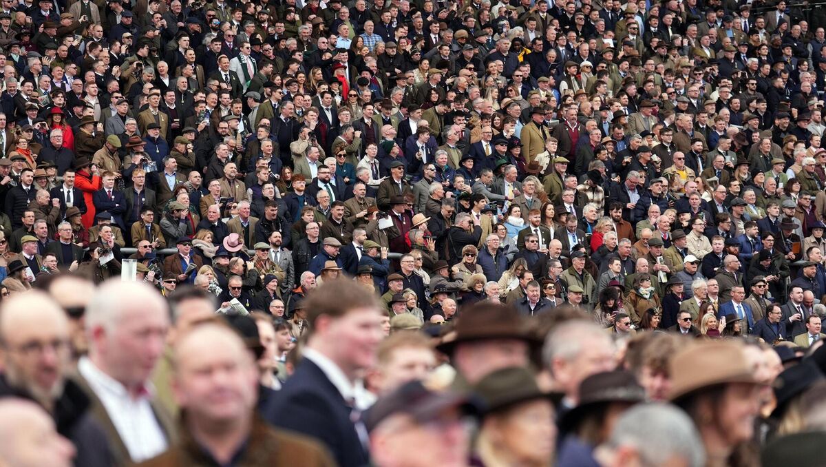 Racegoers look on from the grand stand on day one of the 2026 Cheltenham Festival at Cheltenham Racecourse. Pic: Mike Egerton/PA Wire.