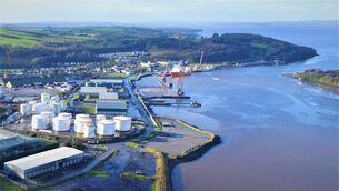 <p>Mr Meehan, who was a general operative with the Shannon Foynes Port Company, was only 60 years of age when he died 11 days after he fractured his ankle as he helped unload a ship at Limerick docks. File picture</p>