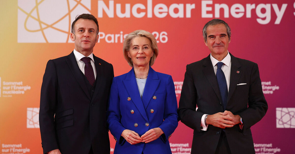 Reducing Europe's nuclear energy sector was 'strategic mistake', says von der Leyen