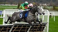 Cheltenham Racing Festival - Day One