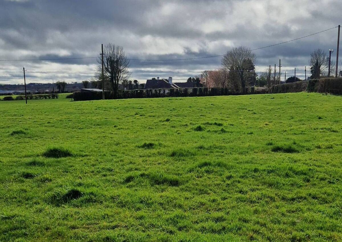 The land where a new Mid-West hospital is to be built, just 2km from the under-pressure University Hospital Limerick. 