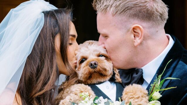 <p>Dr Lisa Madden and Dr Brian Cotter, above with their cavapoo Arnold, who acted as ring bearer for their wedding ceremony. Picture: Studio Lordan</p>