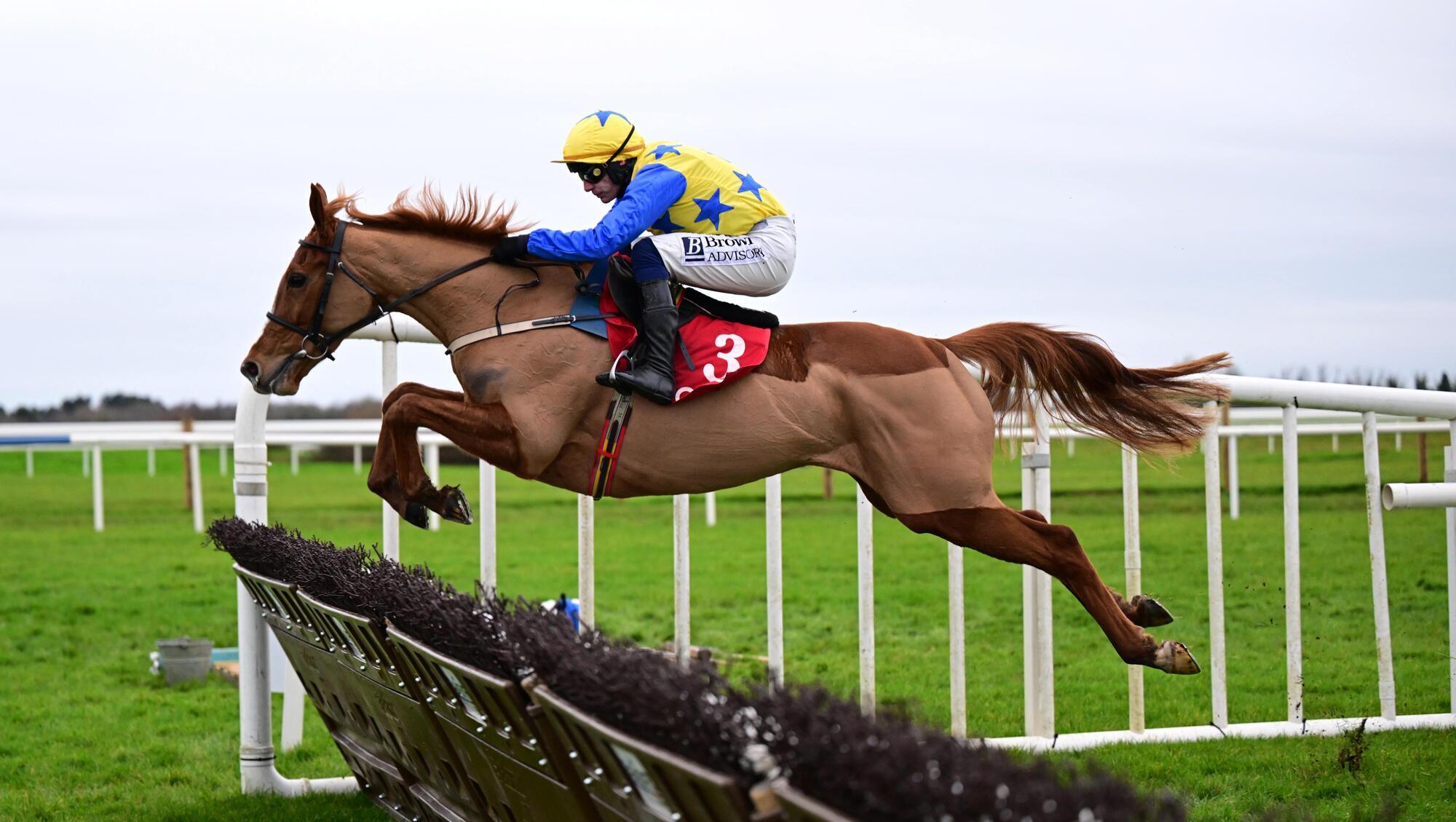 Bambino Fever and Paul Townend win the Tote Mares Maiden Hurdle with young Conor Morgan. Pic: Healy Racing