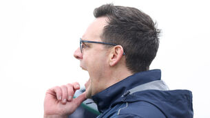 <p>CONSULTANCY ROLE: Limerick coach Paul Kinnerk. Pic: Tom Maher/Inpho</p>