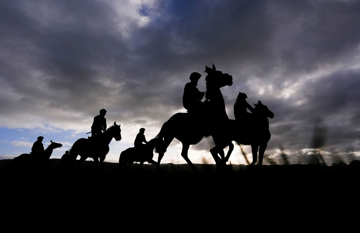 Horses on the gallops on day two of the 2026 Cheltenham Festival at Cheltenham Racecourse. Picture: Mike Egerton/PA Wire.