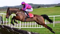 Unbeaten How's Hannah can deliver yet more success for Mullins 
