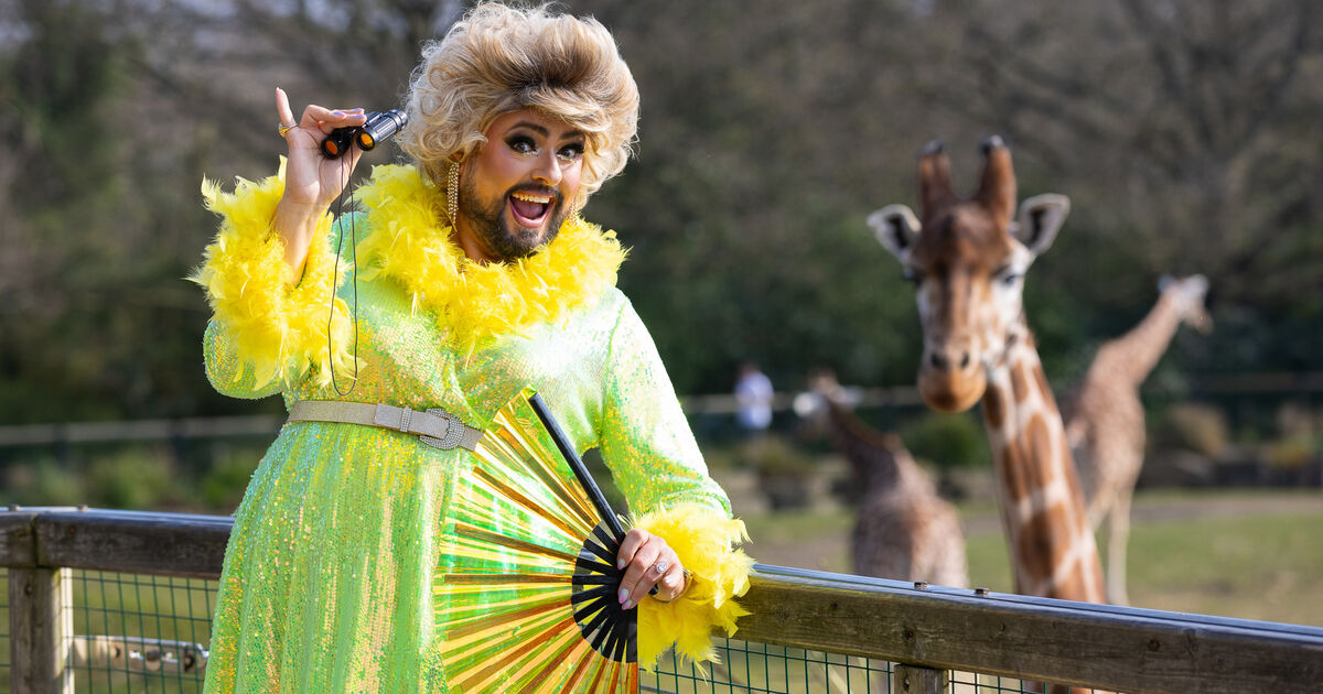 James Patrice advertising Dublin Zoo isn't a threat to my motherhood