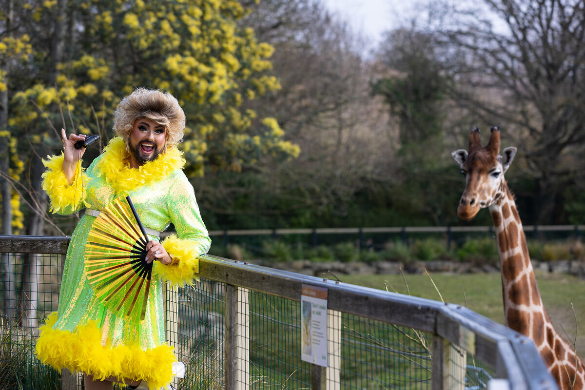 A Dublin Zoo campaign for Mother’s Day featuring a man in drag is not a reason to be angry. Picture: Patrick Bolger