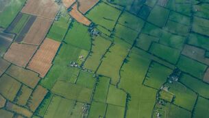 <p>Munster land prices dropped by 6.2% in 2025</p>