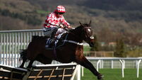 Cheltenham Racing Festival - Day Two