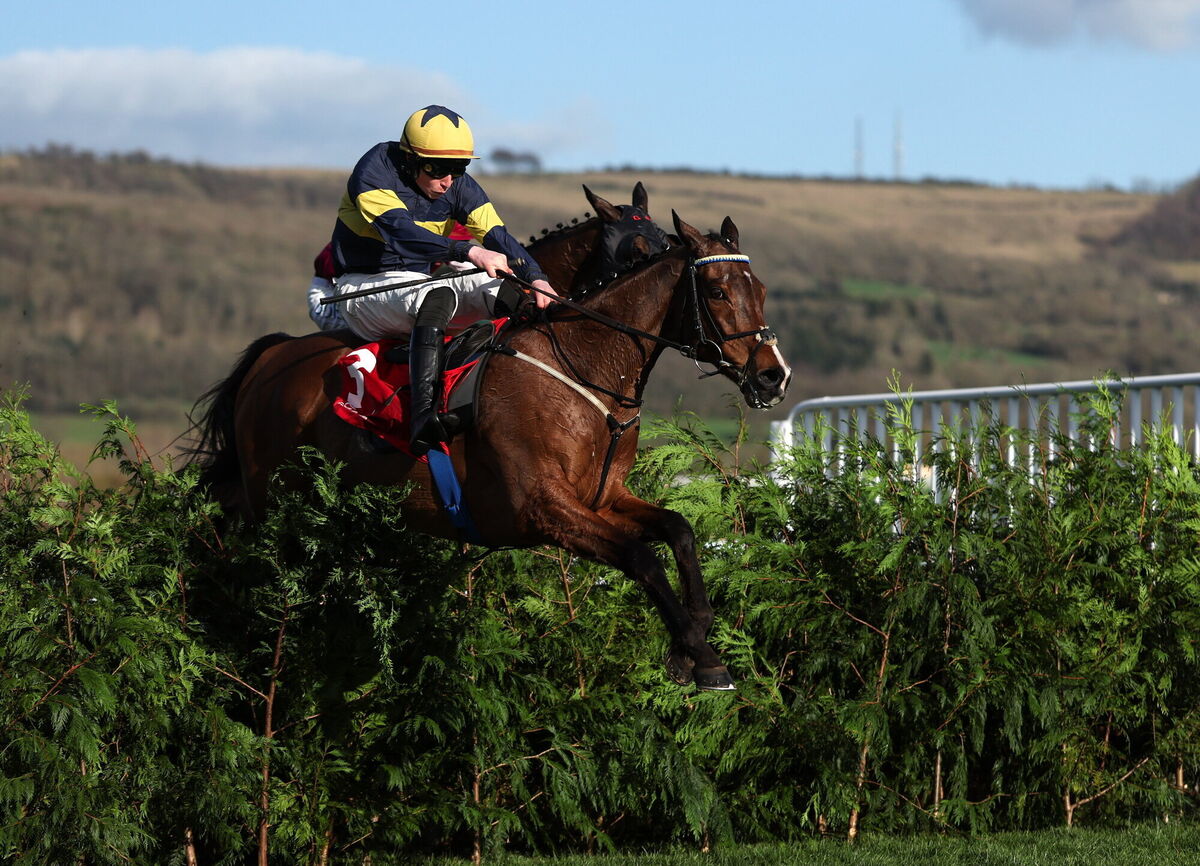 Wexford native Conor Stone Walsh claimed his first Cheltenham Festival victory on Final Orders in the Cross County race. Pic: Harry Murphy/Sportsfile