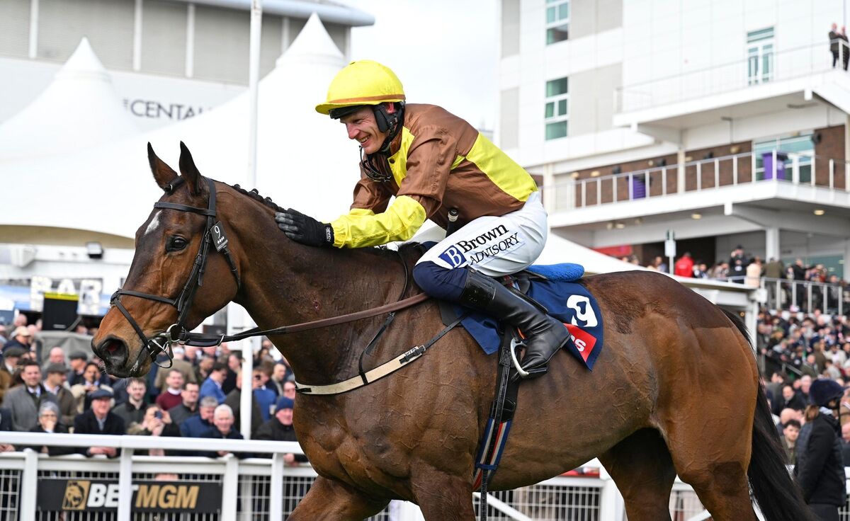 King Rasko Grey and Paul Townend won the Turners Novices' Hurdle (Grade 1). Pic: Healy Racing Photo