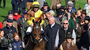 <p>King Rasko Grey with Jody and Paul Townend and Audrey Turley after winning the Turners Novices' Hurdle (Grade 1). Pic: Healy Racing Photo</p>