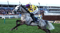 Cheltenham Racing Festival - Day Two