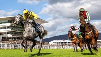 Harry Cobden on Kitzbuhel comes home to win 11/3/2026
