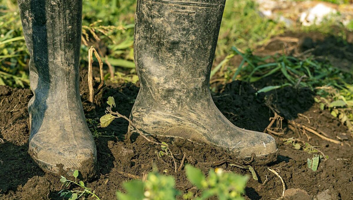 There’s a number of schemes for people keen to get involved in biodiversity action. The popular Hare’s Corner project, started by the Burrenbeo Trust, in Co Clare, has been extended to nine other counties since January.